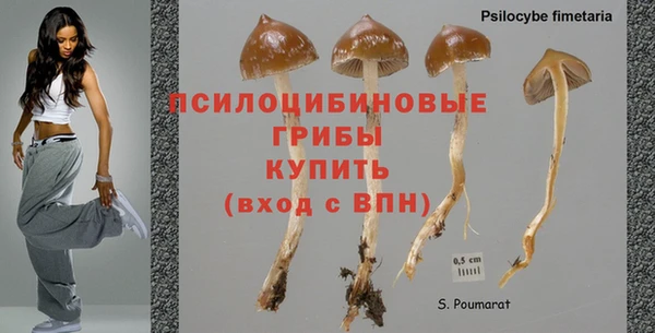 соль ск Верхний Тагил