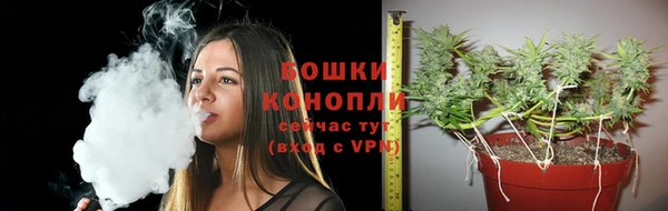 прущие крисы Володарск