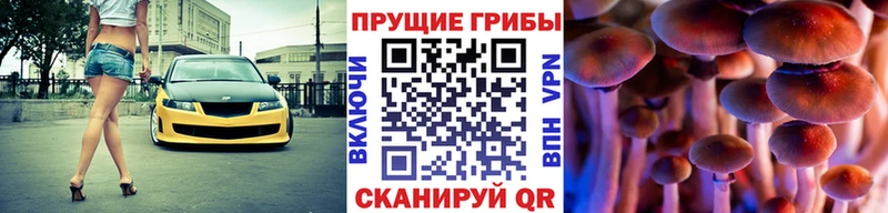 наркотики Волчанск Псилоцибиновые грибы мухоморы